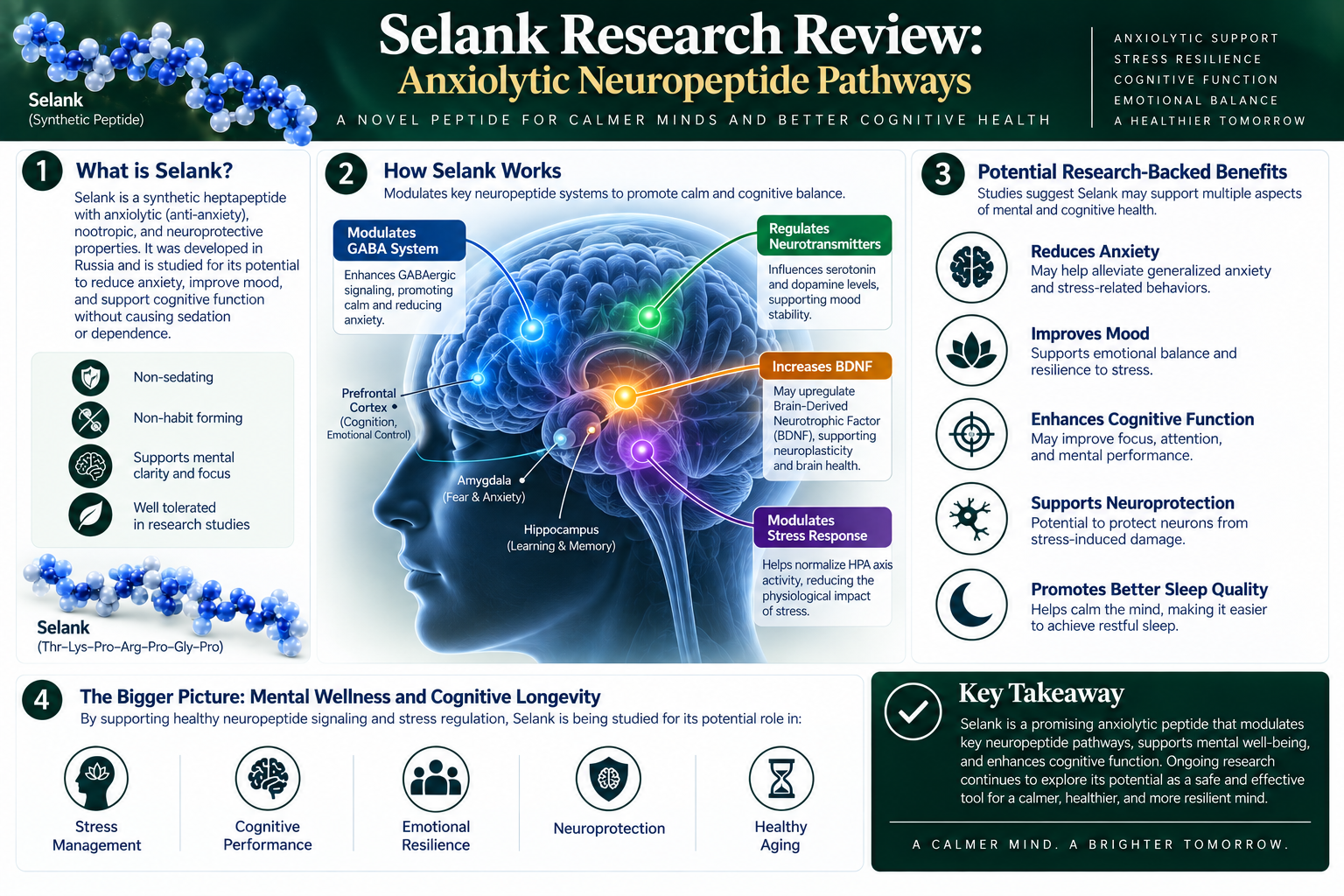 Selank neuropeptide research visualization showing anxiolytic signaling pathways in the brain